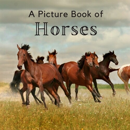 A Picture Book of Horses: A Beautiful Picture Book for Seniors With Alzheimers or Dementia. A Great Gift for Horse Lovers! (Paperback)