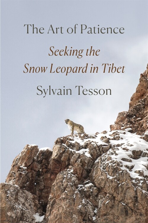 The Art of Patience: Seeking the Snow Leopard in Tibet (Hardcover)