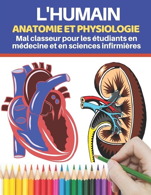 Lhumain Anatomie et physiologie Mal classeur pour les ?udiants en m?ecine et en sciences infirmi?es: Moyen facile et efficace dapprendre, cadeau (Paperback)