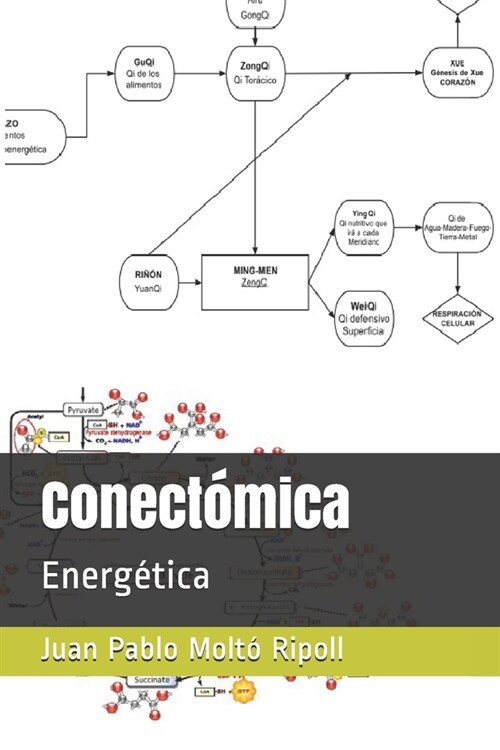 Conect?ica: Energ?ica (Paperback)