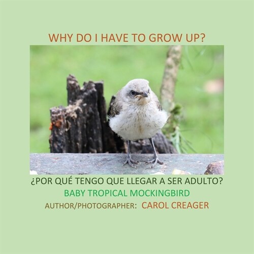 Why Do I Have to Grow Up? 풮OR QU?TENGO QUE LLEGAR A SER ADULTO? BABY TROPICAL MOCKINGBIRD (Paperback)