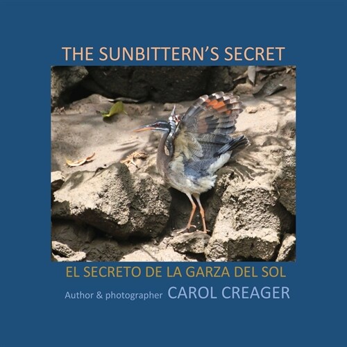 The Sunbitterns Secret: El Secreto de la Garza del Sol (Paperback)