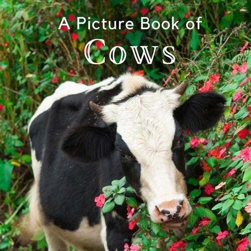 A Picture Book of Cows: A Beautiful Picture Book for Seniors With Alzheimers or Dementia. A Great Gift for Elderly Parents and Grandparents! (Paperback)