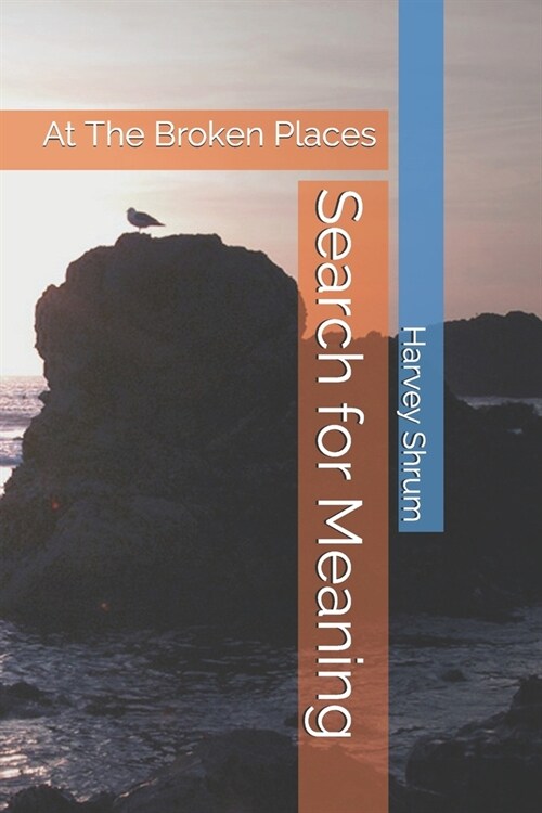 Search for Meaning: At The Broken Places (Paperback)