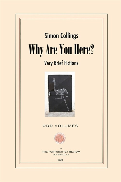 Why Are You Here?: Very Brief Fictions (Paperback)