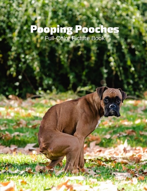 Pooping Pooches Full-Color Picture Book: Dogs Pictures Weird Funny Pooches Gag Gift Idea for Dog Lovers White Elephant Party, Santa Secret-Dogs Animal (Paperback)