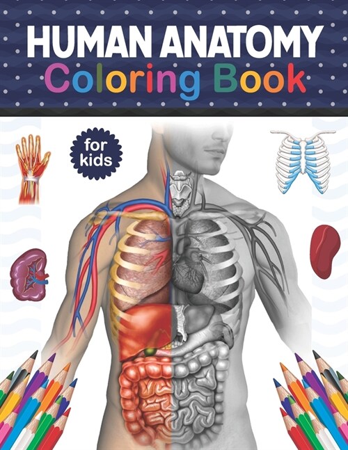 Human Anatomy Coloring Book For Kids: Human Body Anatomy Coloring Book For Kids, Boys and Girls and Medical Students. Human Brain Heart Liver Coloring (Paperback)