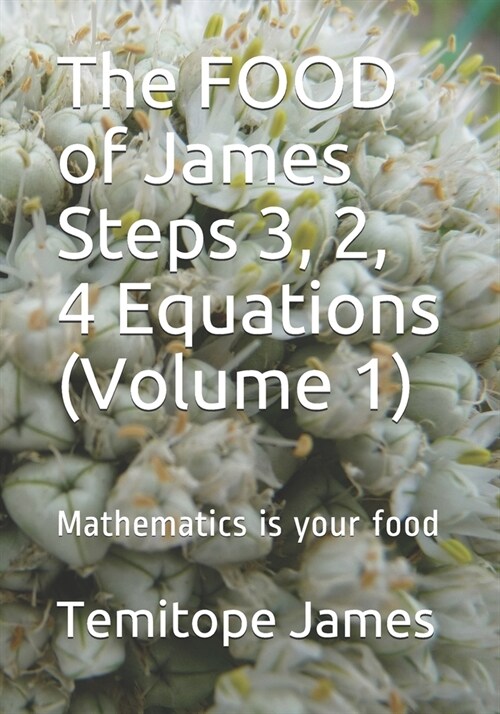 The FOOD of James Steps 3, 2, 4 Equations (Volume 1): Mathematics is your food (Paperback)
