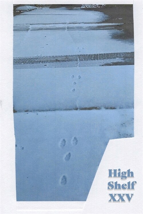High Shelf XXV: December 2020 (Paperback)