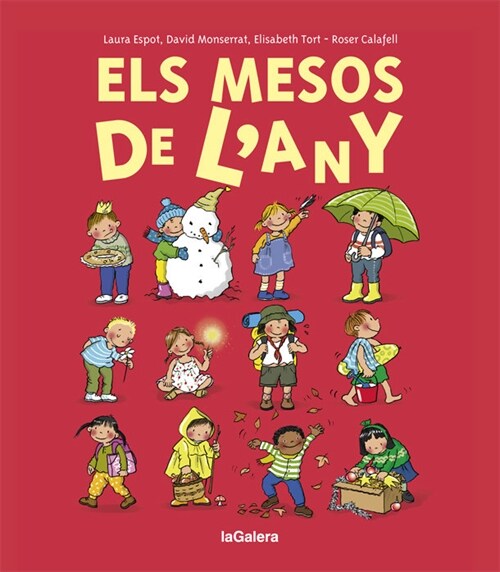 ELS MESOS DE LANY (Hardcover)