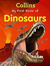 [중고] My First Book of Dinosaurs (Paperback)