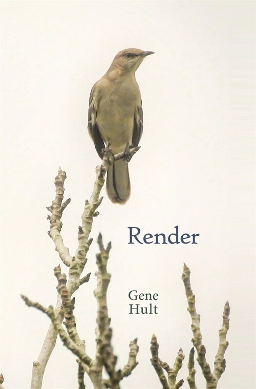 Render (Hardcover)