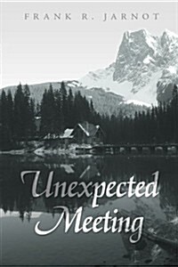 Unexpected Meeting (Paperback)