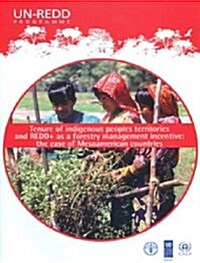 Tenure of Indigenous Peoples Territories and Redd+ as a Forestry Management Incentive: The Case of Mesoamerican Countries (Paperback)