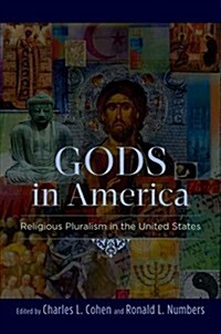 Gods in America: Religious Pluralism in the United States (Paperback)