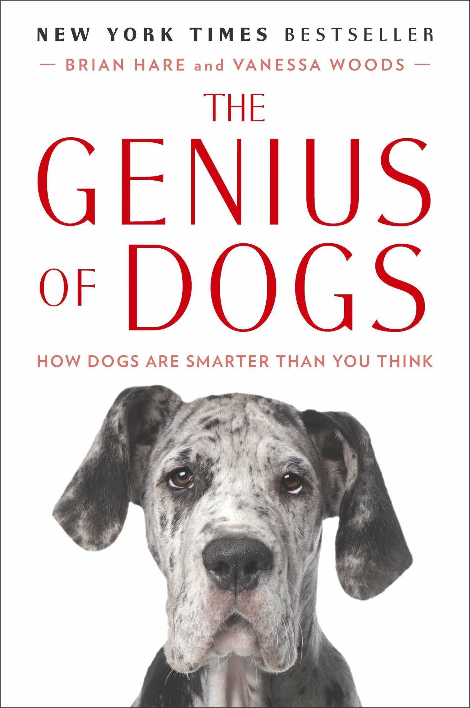 The Genius of Dogs: How Dogs Are Smarter Than You Think (Paperback)