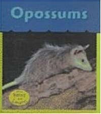 Opossums (Library)