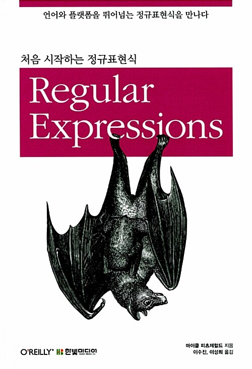 [중고] 처음 시작하는 정규표현식 Regular Expressions