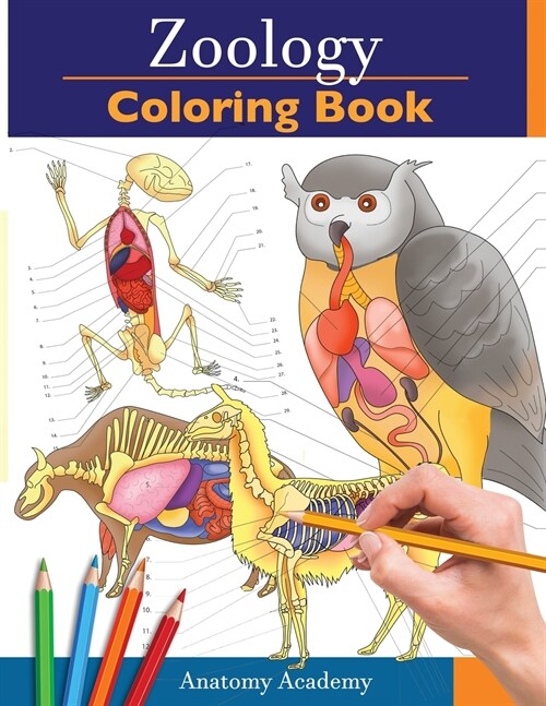 Zoology Coloring Book: Incredibly Detailed Self-Test Animal Anatomy Color workbook Perfect Gift for Veterinary Students and Animal Lovers (Paperback)