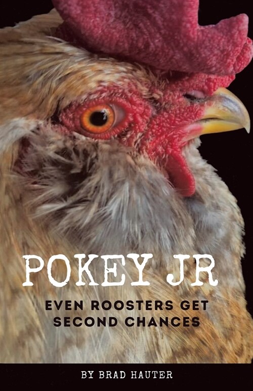 Pokey Jr: Even Roosters Get Second Chances (Paperback)