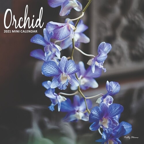 Orchids: 2021 Mini Wall Calendar (Paperback)