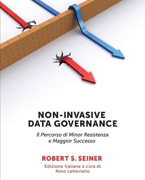 Non-Invasive Data Governance Italian Version: Il Percorso di Minor Resistenza e Maggior Successo (Paperback)