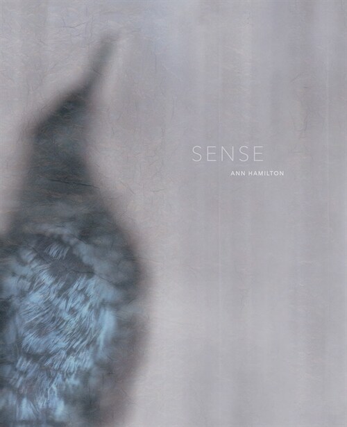 Ann Hamilton: Sense (Hardcover)