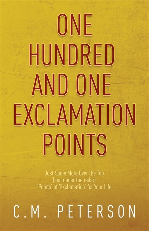 One Hundred and One Exclamation Points: Just Some More Over the Top (and under the radar) Points of Exclamation for Your Life (Paperback)