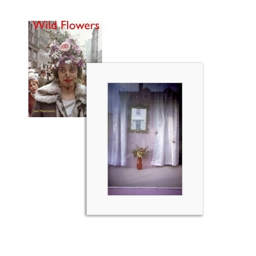 Joel Meyerowitz: Wild Flowers, Limited Edition (Paperback)