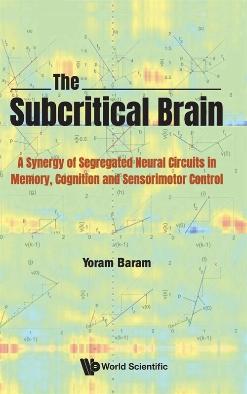The Subcritical Brain (Hardcover)