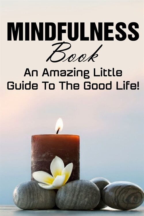 Mindfulness Book An Amazing Little Guide To The Good Life!: Stress Management Books (Paperback)