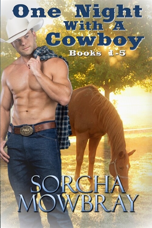 One Night With A Cowboy: (Books 1-5) (Paperback)