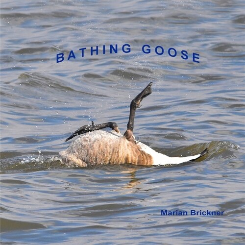 Bathing Goose (Paperback)