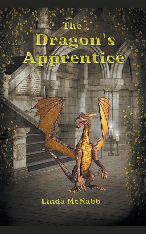 The Dragons Apprentice (Paperback)