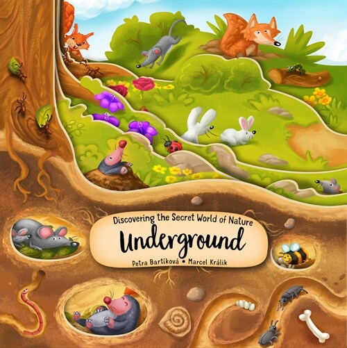 Discovering the Secret World of Nature Underground (Board Books)