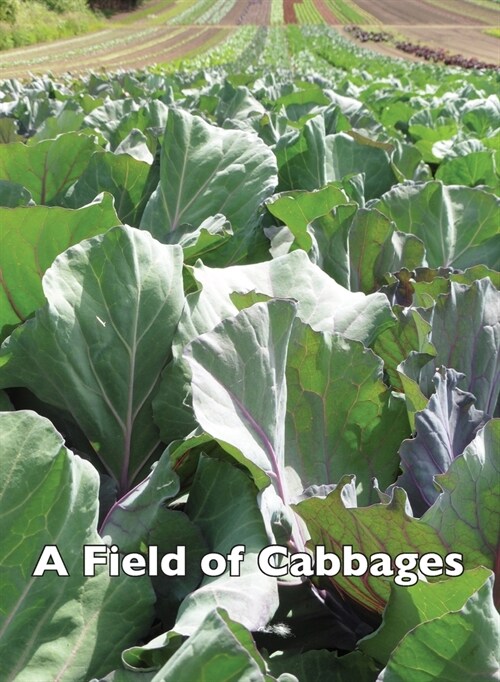 A Field of Cabbages (Paperback)