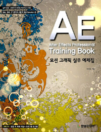 After effects professional training book :모션 그래픽 실무 예제집 