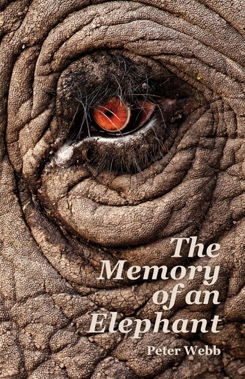 The Memory of an Elephant (Paperback)