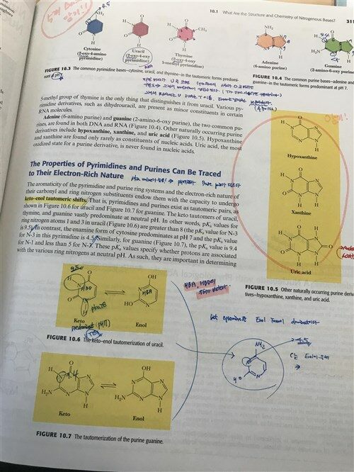 [중고] Biochemistry (Hardcover, 5)