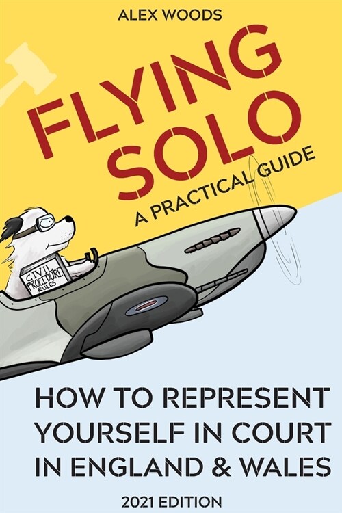 Flying Solo: How to Represent Yourself in Court in England and Wales (Paperback)