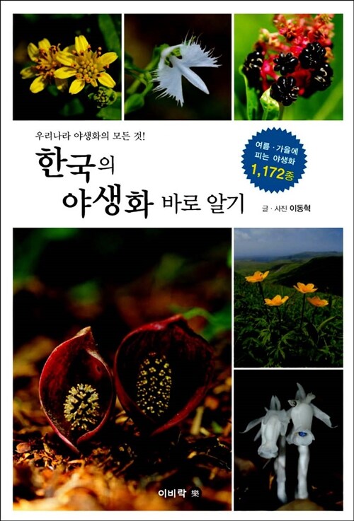 [중고] 한국의 야생화 바로 알기 : 여름 가을