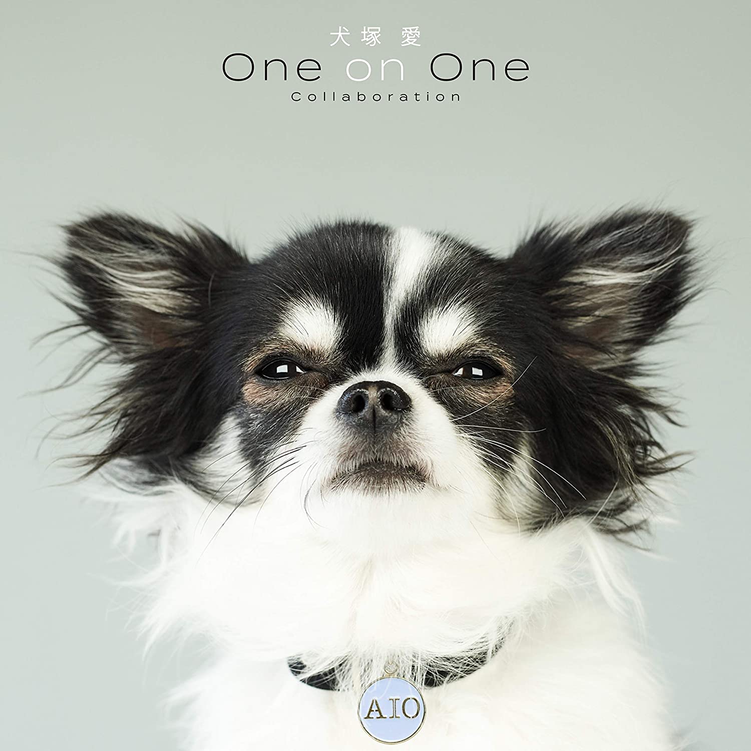 犬塚 愛 One on One コラボレ-ション(CD)