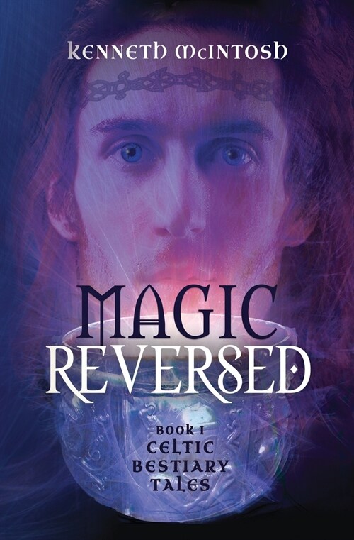 Magic Reversed: Celtic Bestiary Tales Book 1 (Paperback)