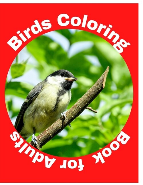 Birds Coloring Book for Adults: Its a collection of different coloring pages for kids & adults to practice drawing for getting enjoyment and relaxati (Paperback)