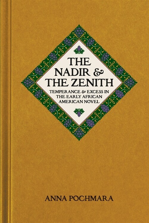 The Nadir and the Zenith: Temperance and Excess in the Early African American Novel (Paperback)