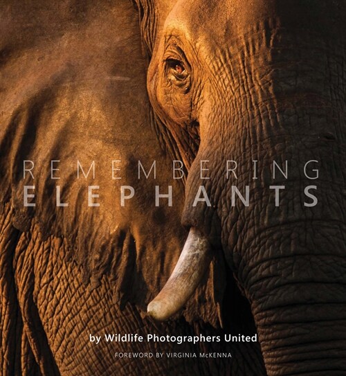 Remembering Elephants (Hardcover)