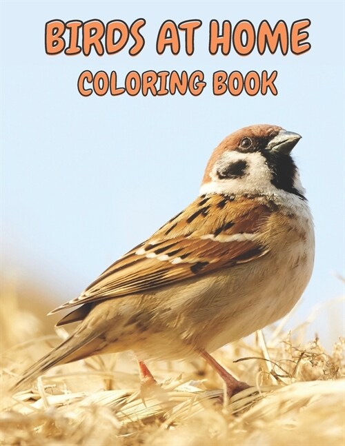 Birds at Home Coloring Book: Beautiful Fun Coloring Book for Kids (Paperback)