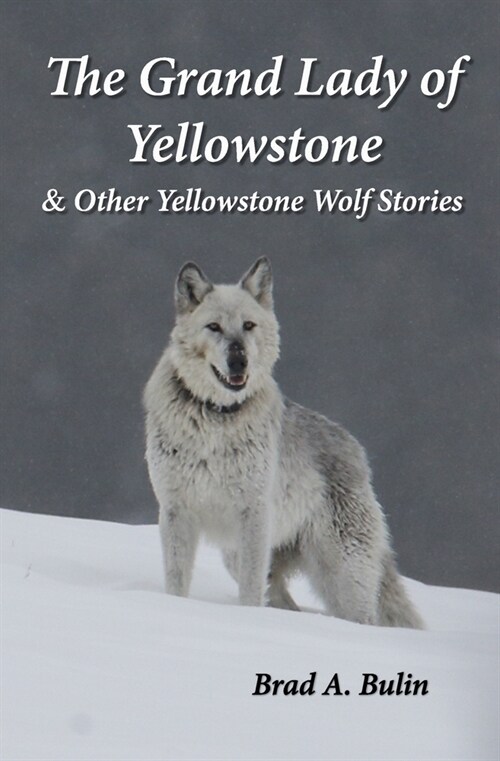 The Grand Lady of Yellowstone: & Other Yellowstone Wolf Stories (Paperback)