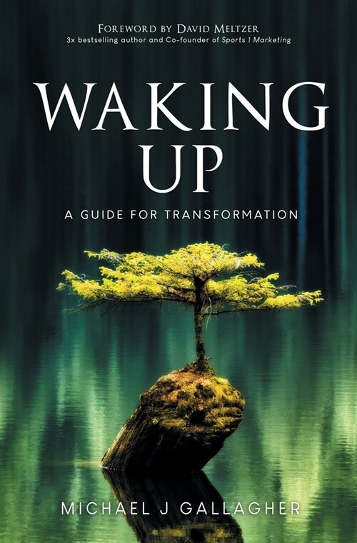 Waking Up: A Guide for Transformation (Paperback)