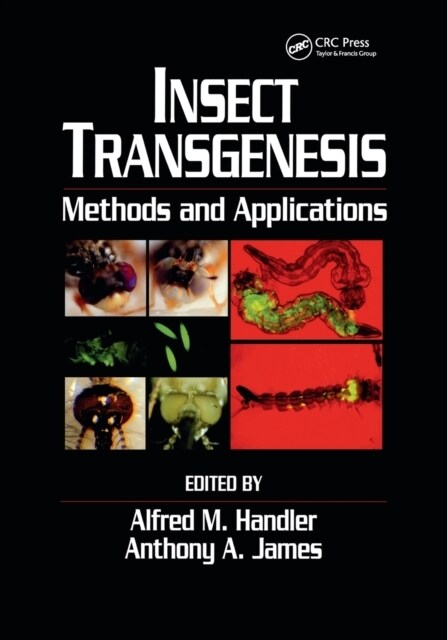 Insect Transgenesis : Methods and Applications (Paperback)